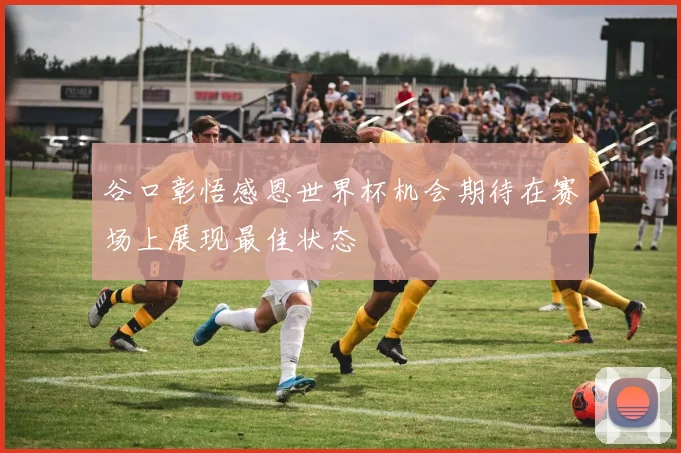 谷口彰悟感恩世界杯机会期待在赛场上展现最佳状态